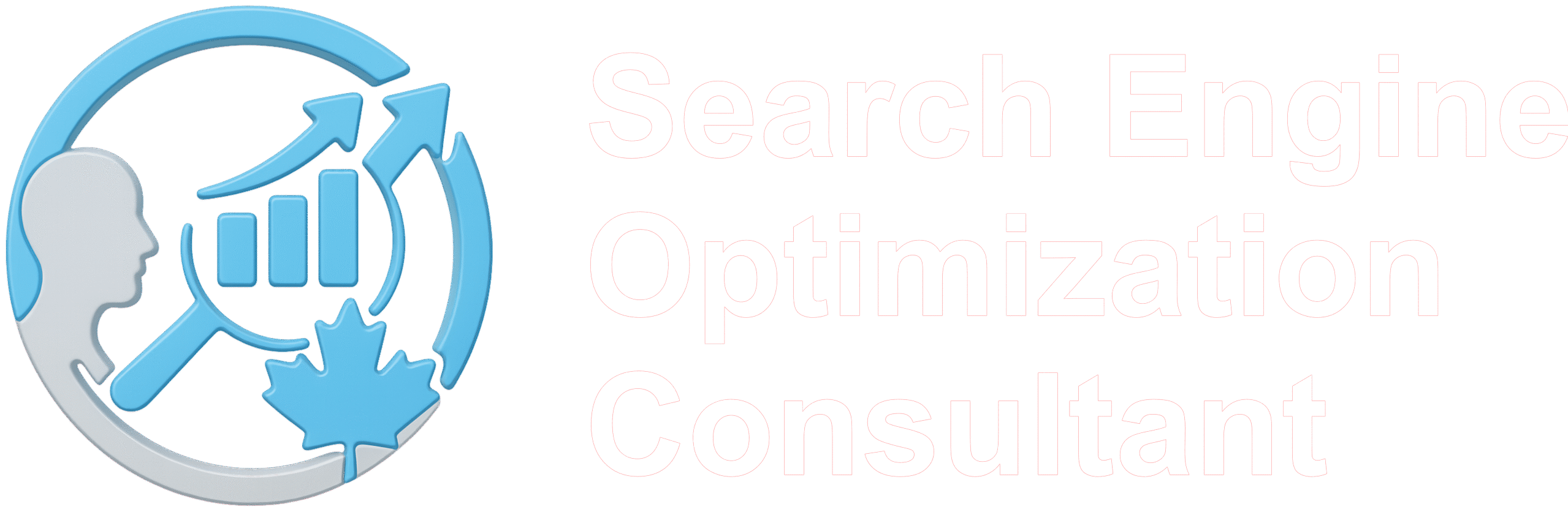 Search Engine Optimization Consultant
